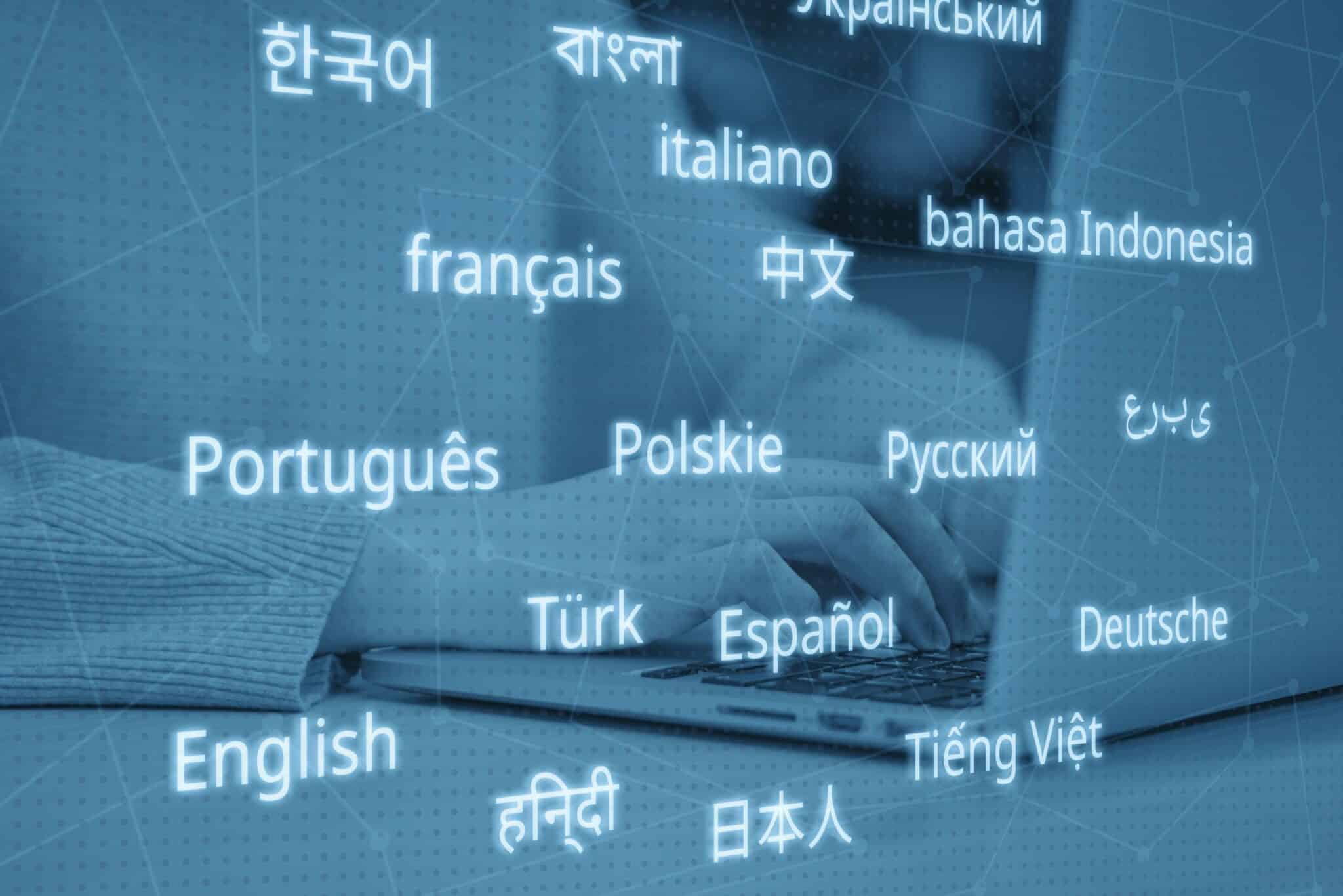 Language Access is More Important than Ever