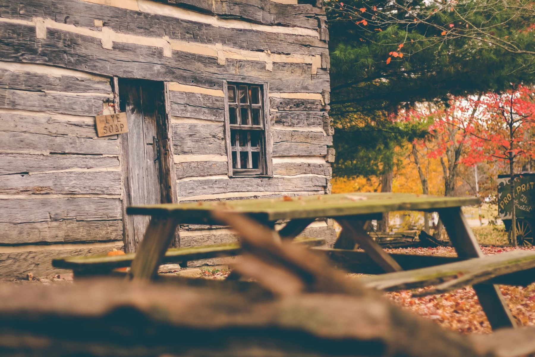 Immersive Language Learning At Concordia Language Villages