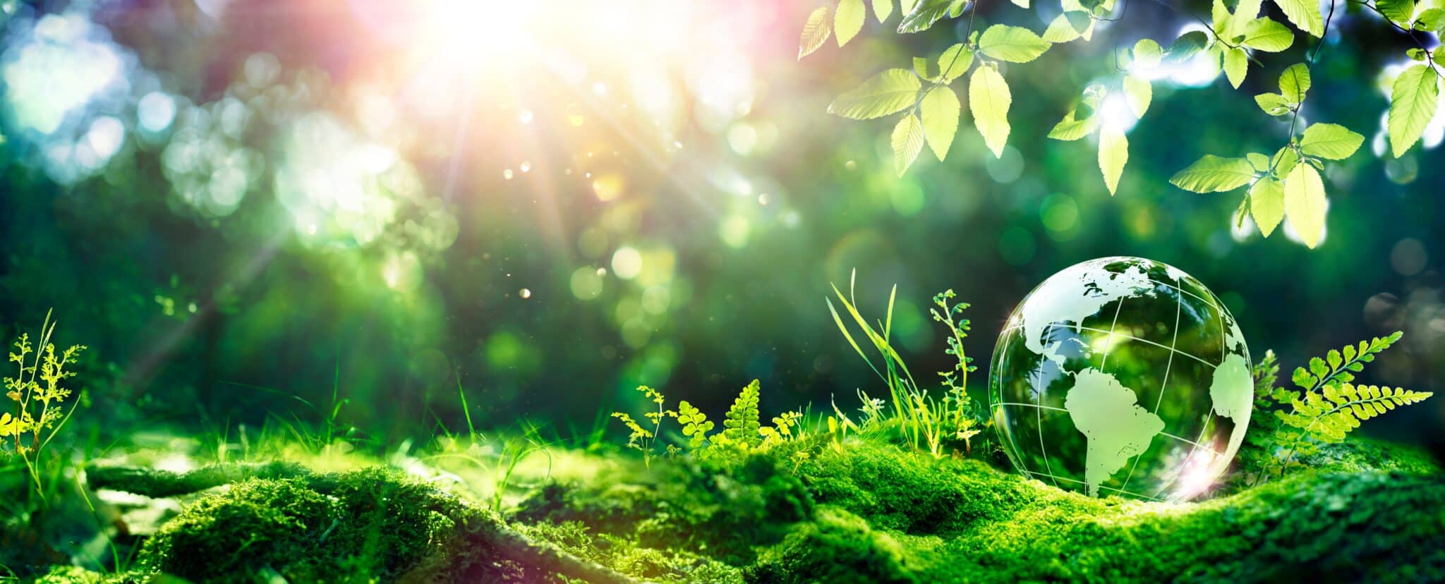Building Multilingual Public Outreach for Earth Day and Environmental Programs