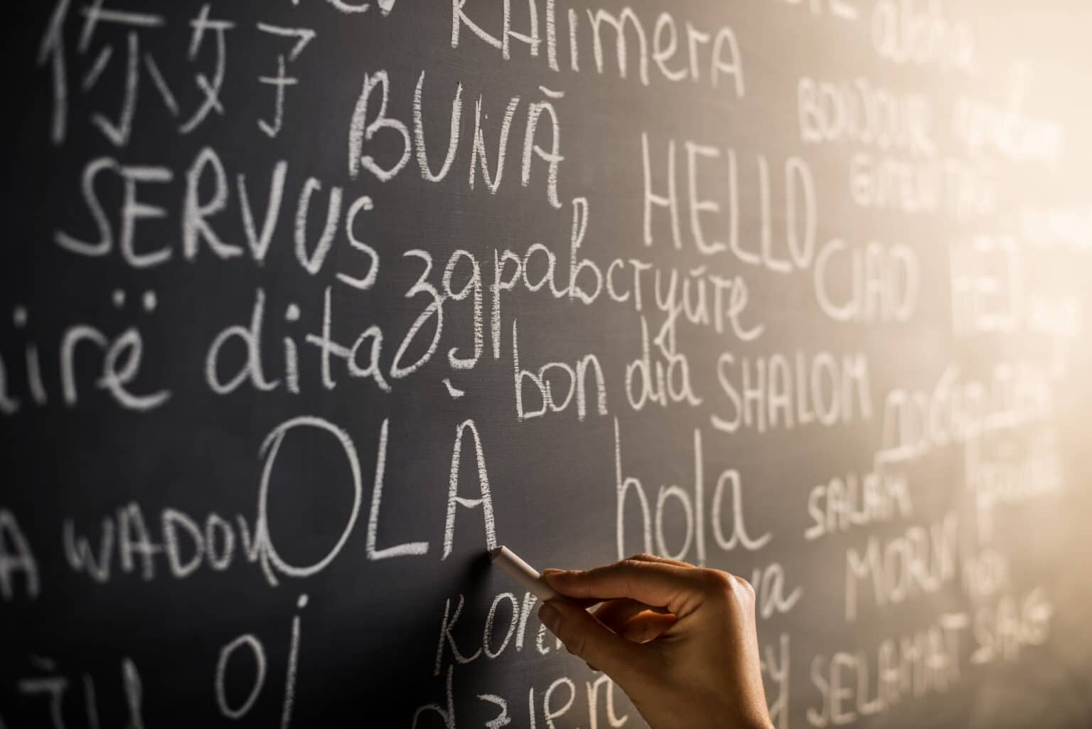 Essential translation services to market your industry